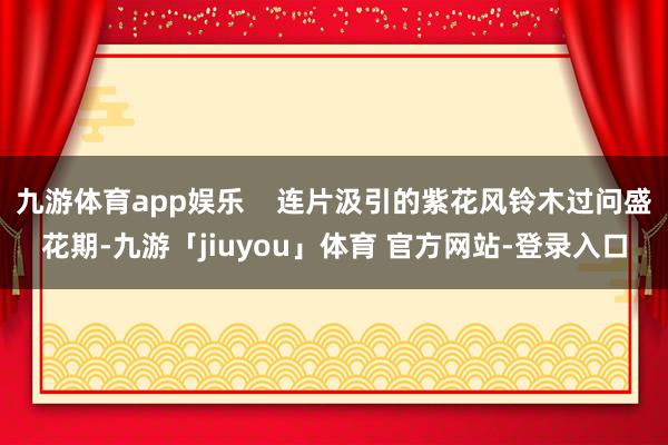 九游体育app娱乐    连片汲引的紫花风铃木过问盛花期-九游「jiuyou」体育 官方网站-登录入口